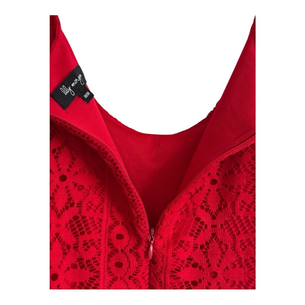 Red Lace Dress A-Line Medium Sleeveless Lily Morgan Holiday Christmas Dress Sexy - Picture 7 of 9